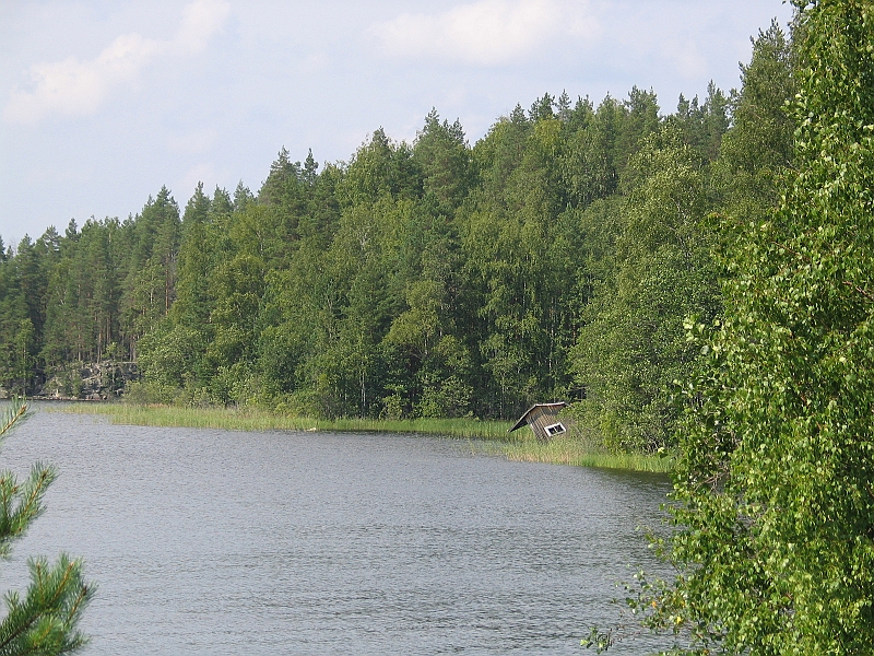 Original image
